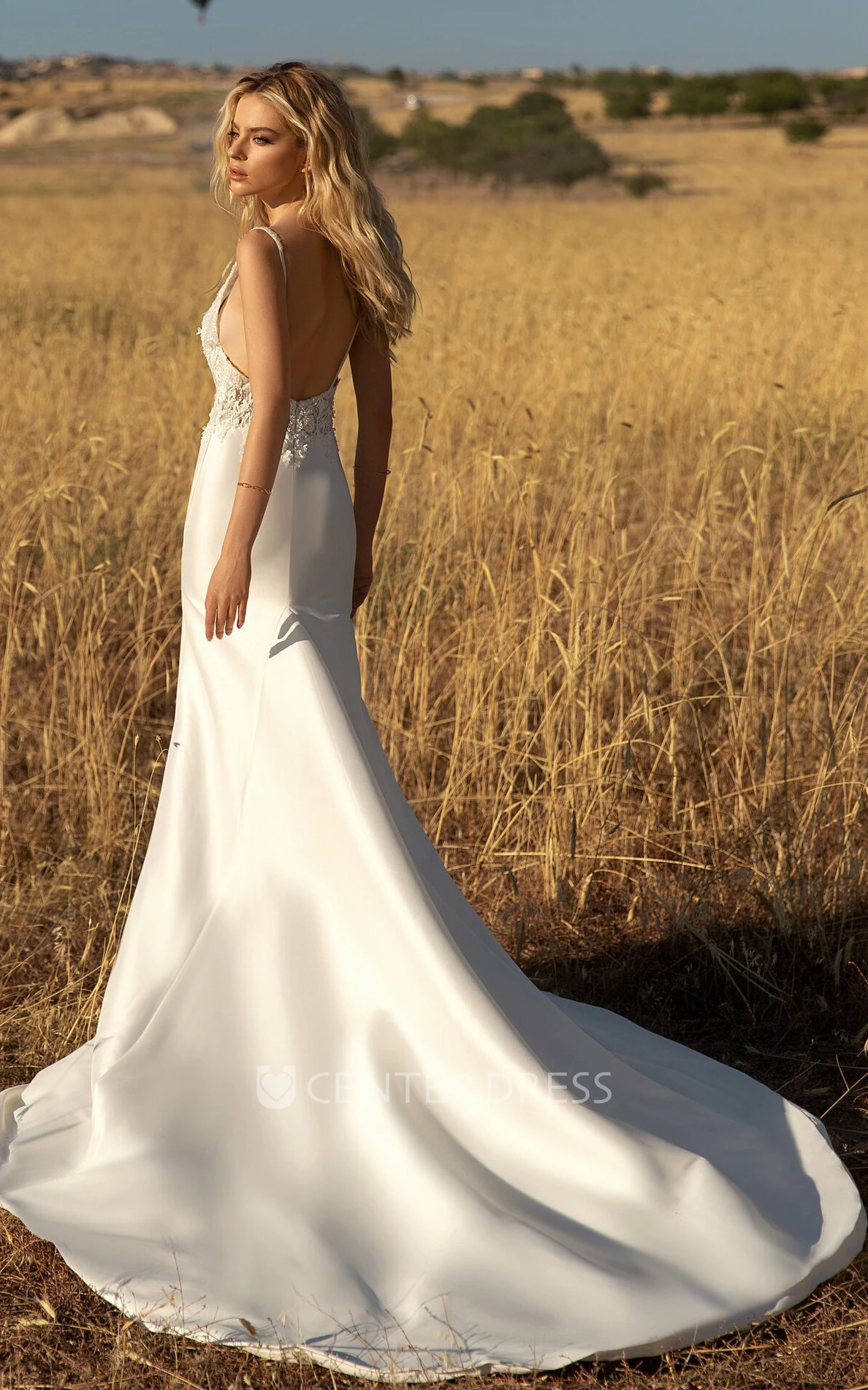 Elegant Sheath Sleeveless Court Train Satin Open Back Wedding Dress with Appliques