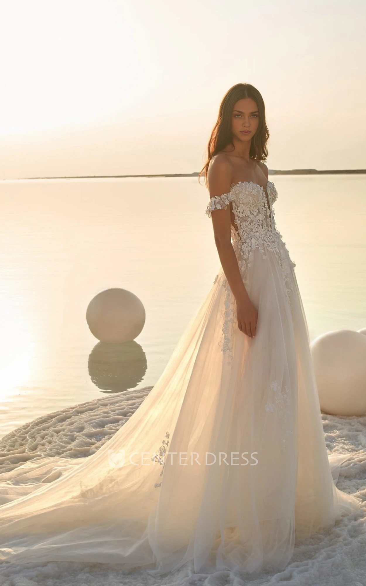 Chiffon V-neck Wedding Dress with Balloon Sleeves Elegant Beach or Garden Style