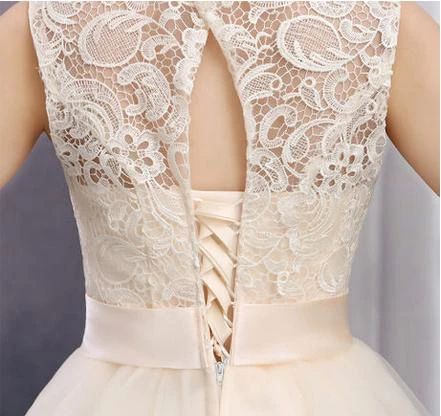 Timeless Sleeveless Lace Cocktail Dress Bowknot Tulle Short Prom Gowns