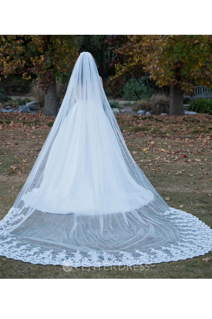 Single Layer Wedding Veil With Long Tail and Lace Edge