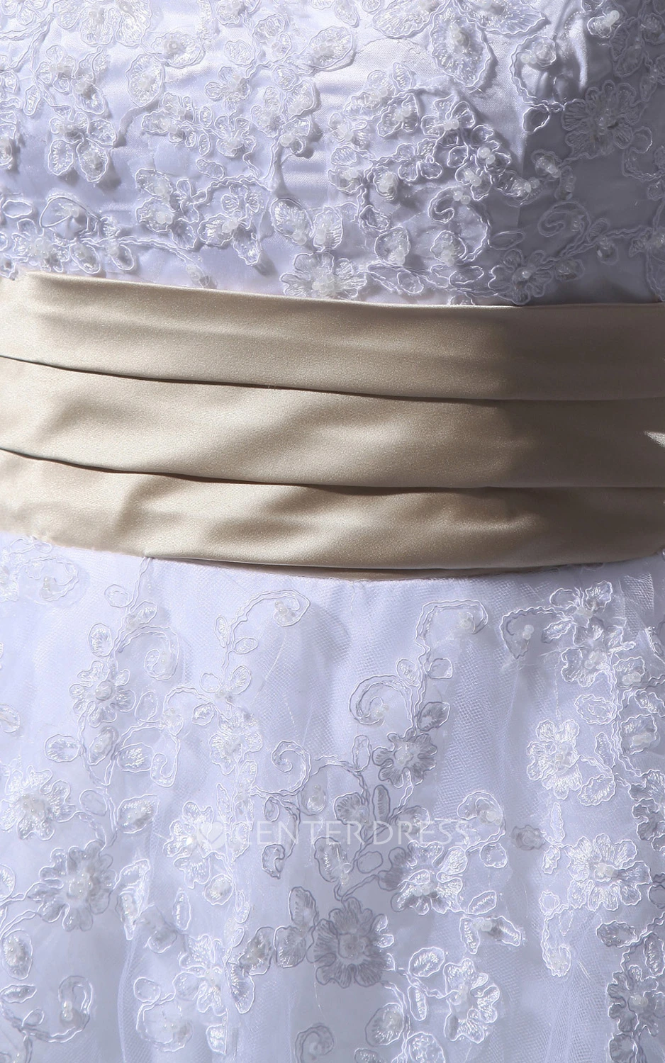 Glam Tea-Length Half-Sleeve Dress With Soft Tulle