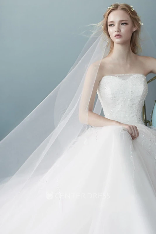 Simple Plain Fluffy Long Tail Wedding Veil