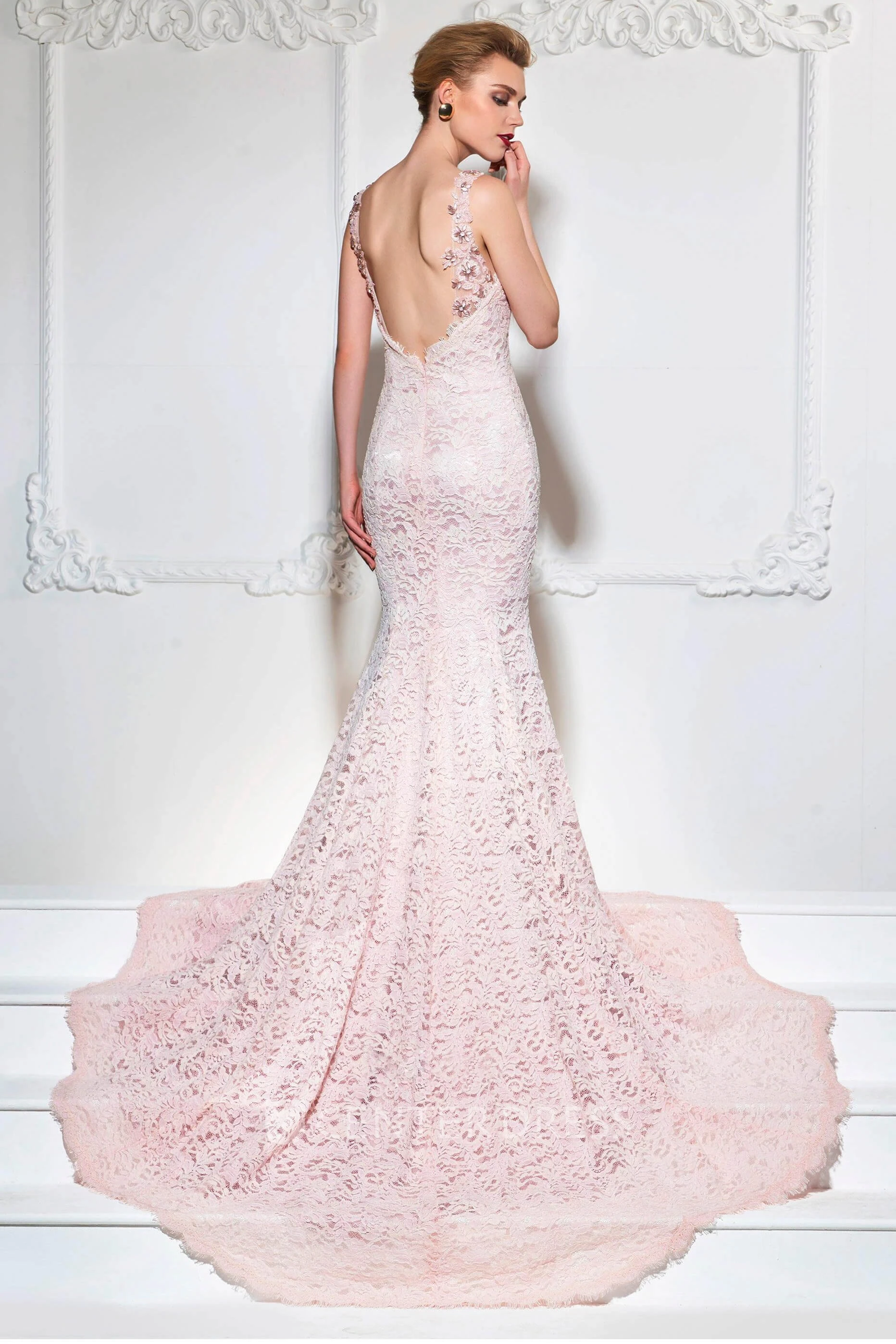 Mermaid Lace Floral Appliqued Gown With Straps And Open Back