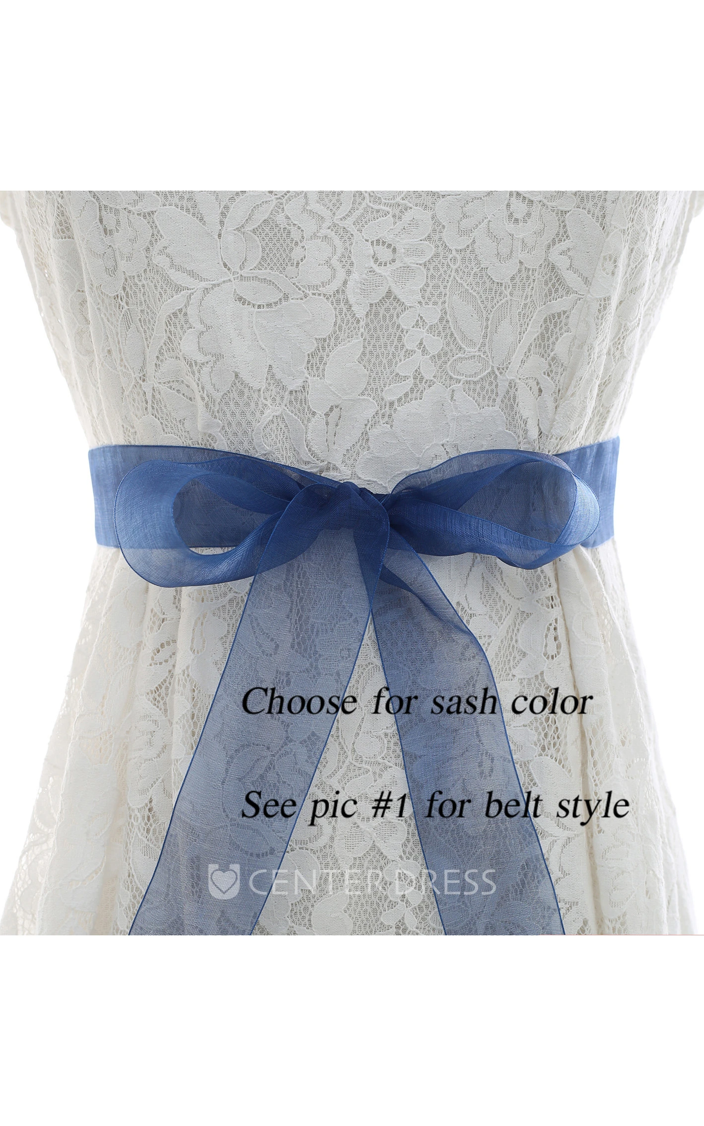 Bridal Crystal Appliqued Belt