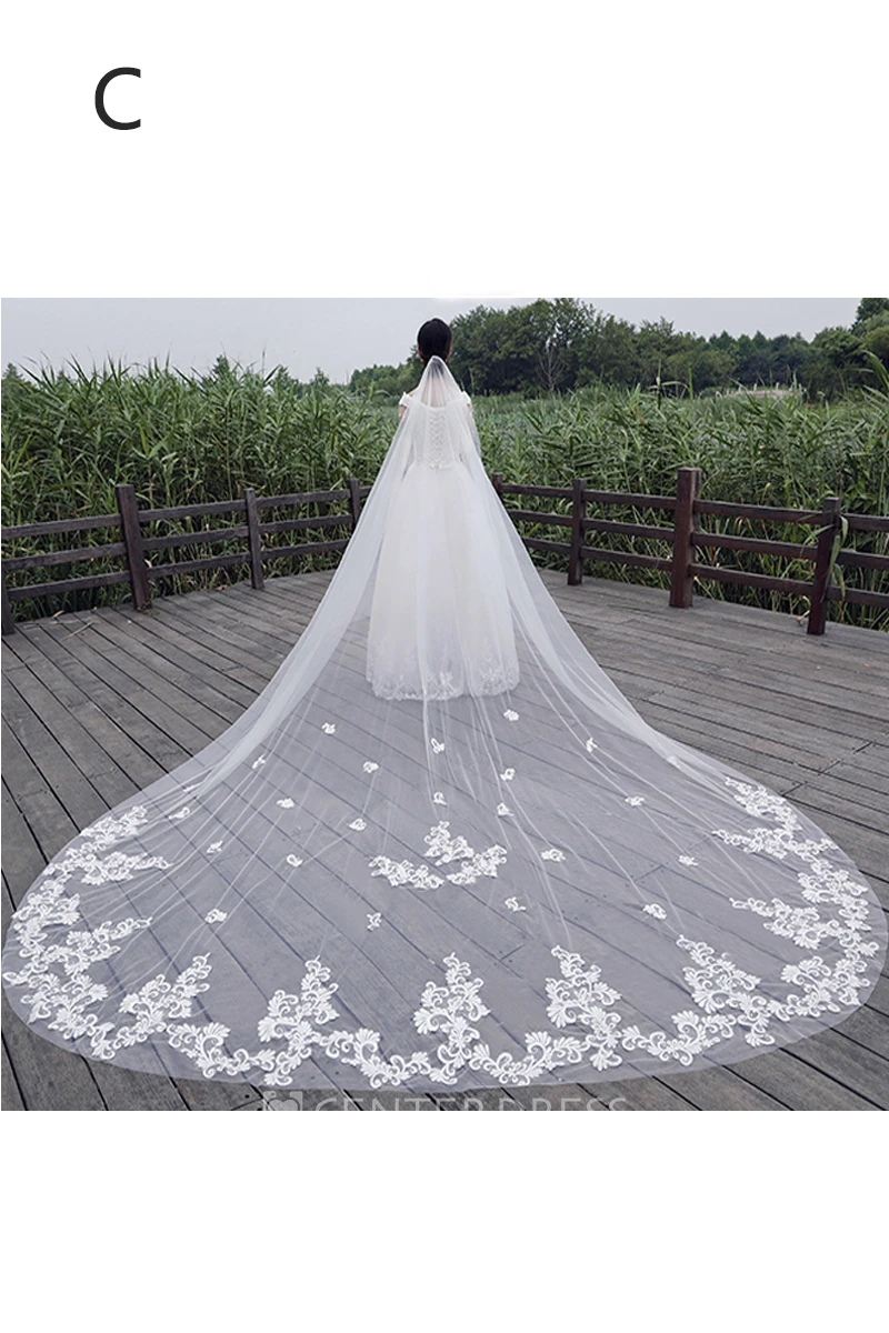 New Korean Ethereal Extra Long Tailed Wedding Veil with Lace Appliques