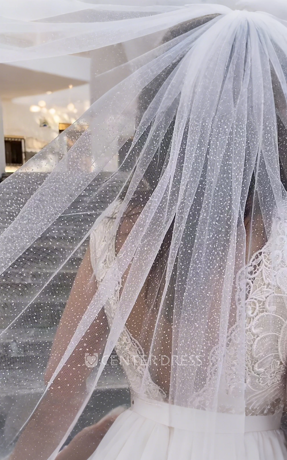Shiny Sparkly Glitter One Tier Cathedral Length Tulle Wedding Veil