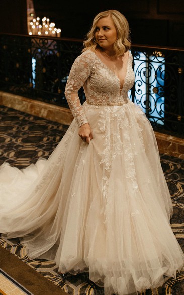 Simple V-neck A Line Tulle Long Sleeve Floor-length Wedding Dress with Appliques