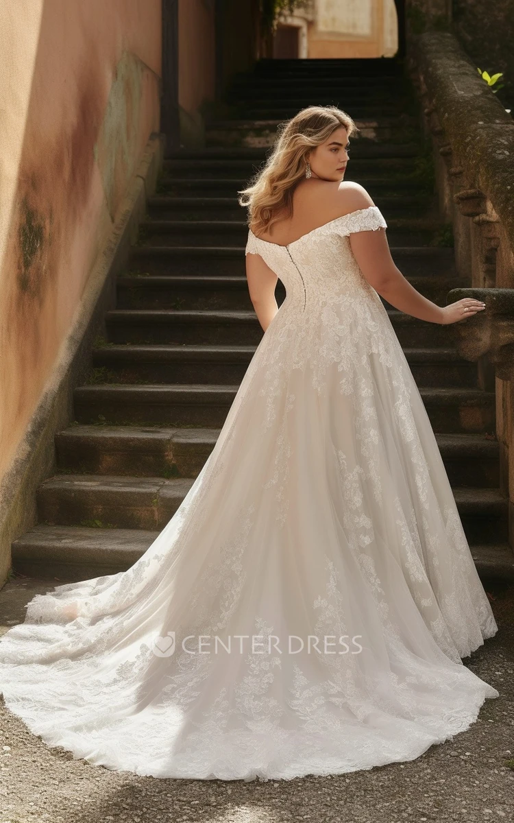 Plus Size A-Line Chiffon Lace Wedding Dress Sleeveless Elegant Romantic