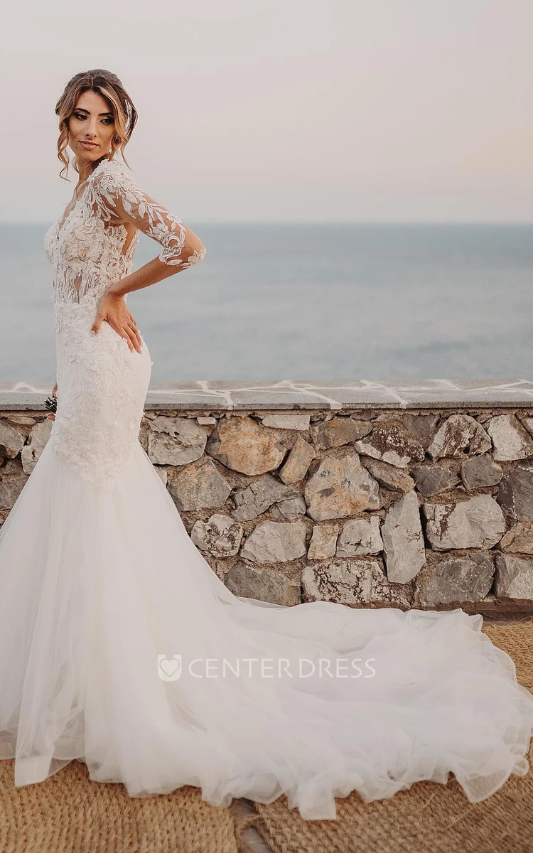 Mermaid V-neck Simple Organza Beach Wedding Dress With Illusion Back And Appliques