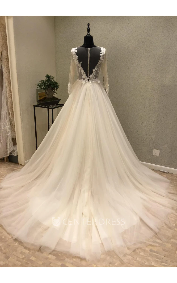Illusion Long Sleeve Fancy Appliques Court Train Plunging Necline Sexy A-Line Bridal Veil