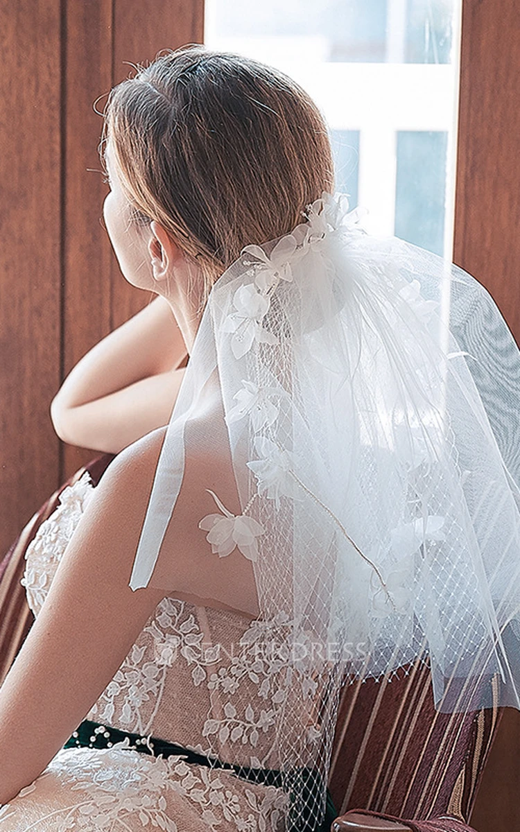 Short wedding hotsell veil styles