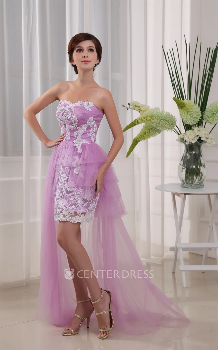 Sleeveless Fitted Short Tulle Dress With Appliques