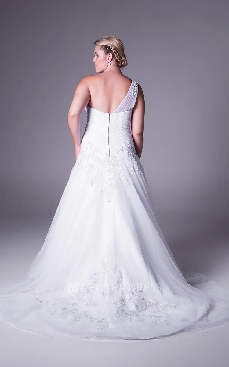 A-Line Maxi One-Shoulder Sleeveless Tulle Plus Size Wedding Dress With Appliques And Zipper