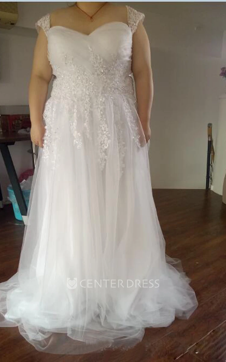 A Line Queen Anne Lace Tulle Zipper Wedding Gown